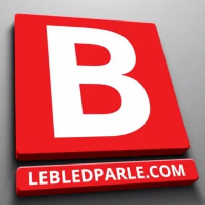 lebledparle.com's icon