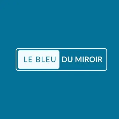 lebleudumiroir.fr's icon