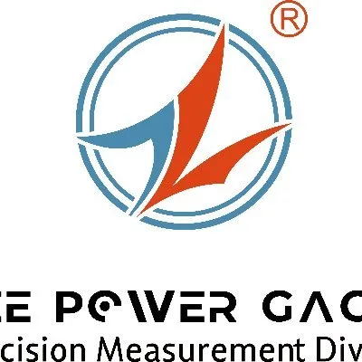 leepowergages.com's icon