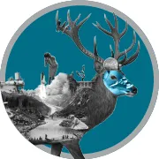 legrandfestival.fr's icon