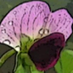 legumeinfo.org's icon
