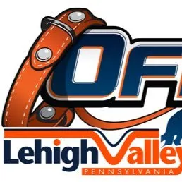 lehighvalleydogtrainers.com's icon