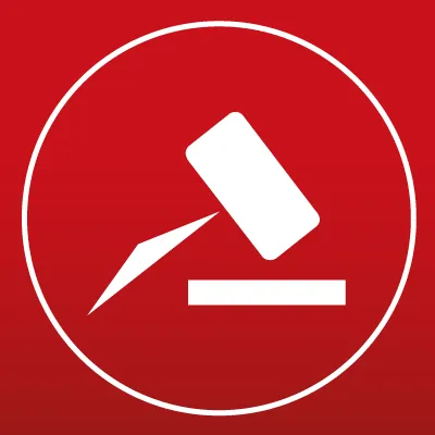 leiloeiropublico.com.br's icon