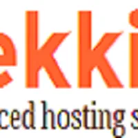 lekkihost.com's icon