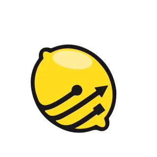 lemonpro.com's icon