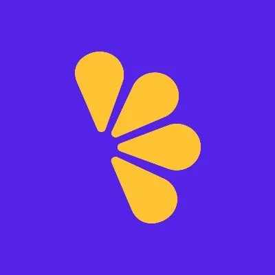 lemonsqueezy-mail.com's icon