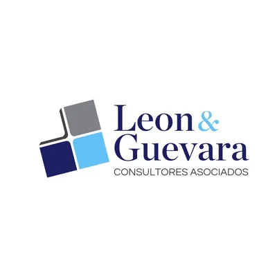 leonconsultores.pe's icon