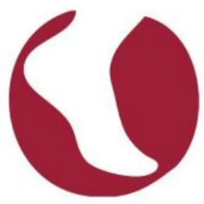lepowfoot.com's icon