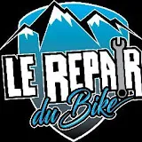 lerepairdubike.fr's icon