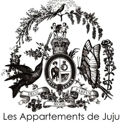 lesappartementsdejuju.com's icon