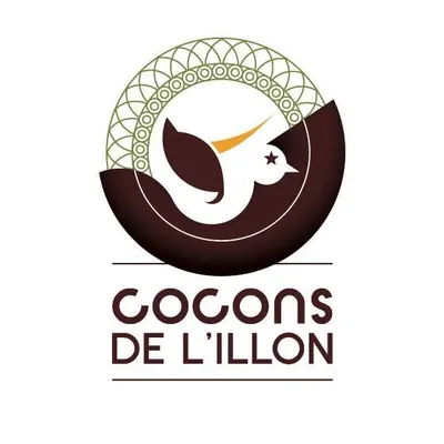 lescoconsdelillon.fr's icon