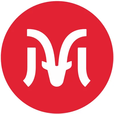 lesmenuires.com's icon