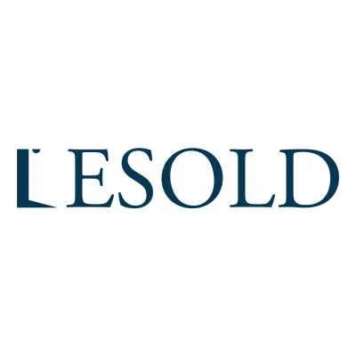 Lesoldgh.com's icon
