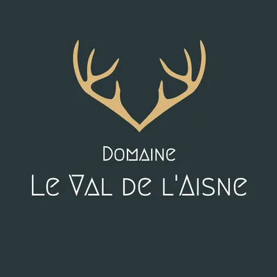 levaldelaisne.be's icon