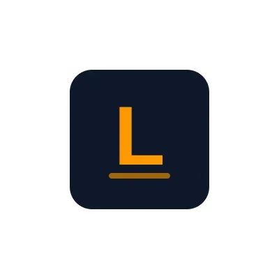 levanalibegashvili.com's icon