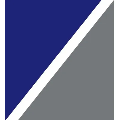 levant-consult.com's icon