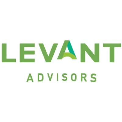 levantadvisors.bs's icon