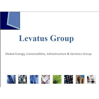 levatus.net's icon