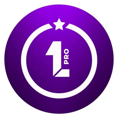 levelpro.com's icon