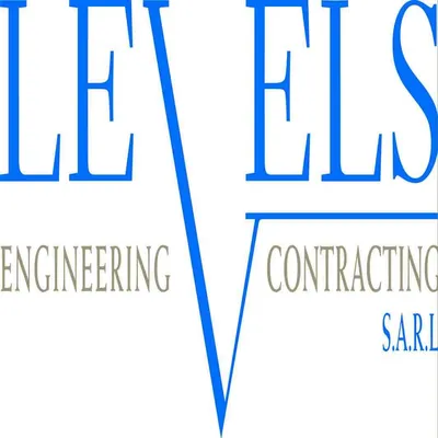 levelsengineering.com's icon
