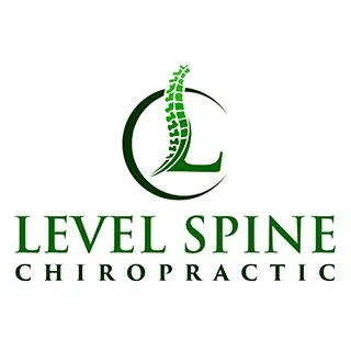 levelspinechiro.com's icon