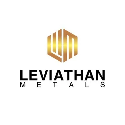 leviathangold.com's icon
