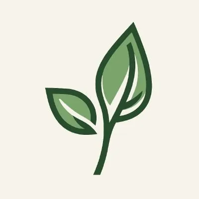 levimc.org's icon