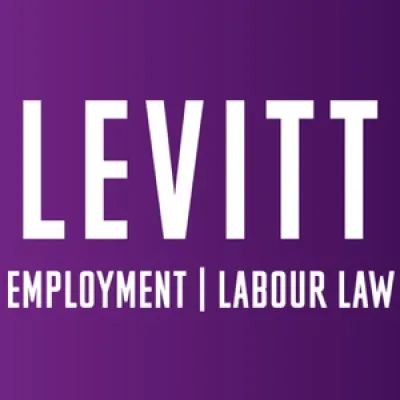 levittllp.com's icon