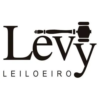 levyleiloeiro.com.br's icon