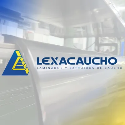 lexacaucho.com's icon