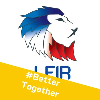 lfir-yangon.com's icon