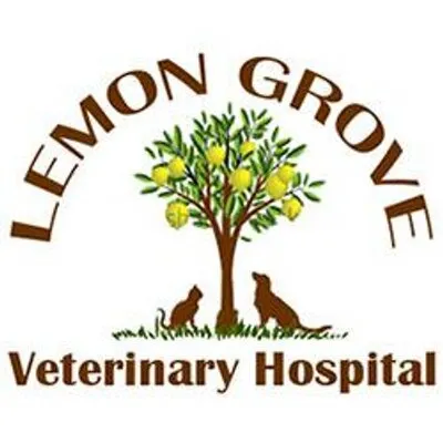 lgvet.com's icon