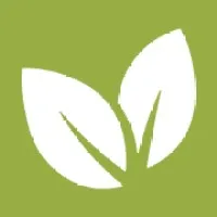 liannebyrne.com's icon
