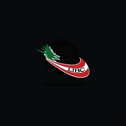 Lebanese International Business Council's icon