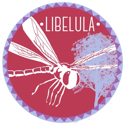 libelula.fr's icon