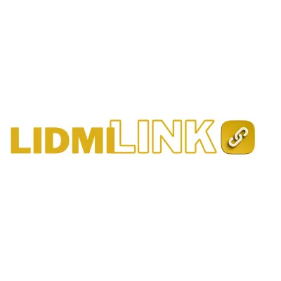 lidmilink.ru's icon