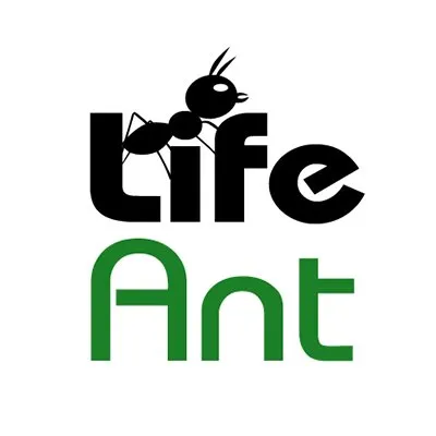 lifeant.com's icon
