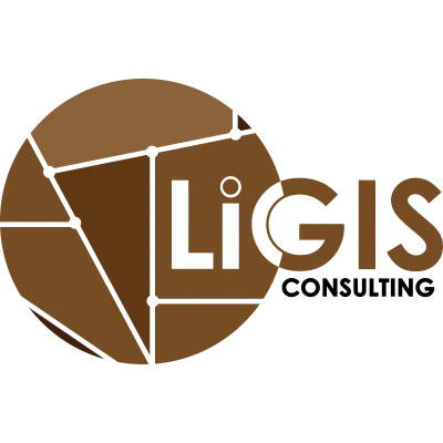 ligisconsulting.com's icon