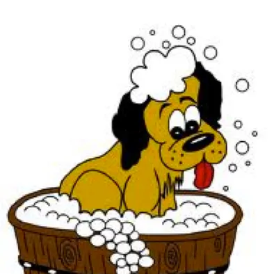 lillysmobilegrooming.com's icon