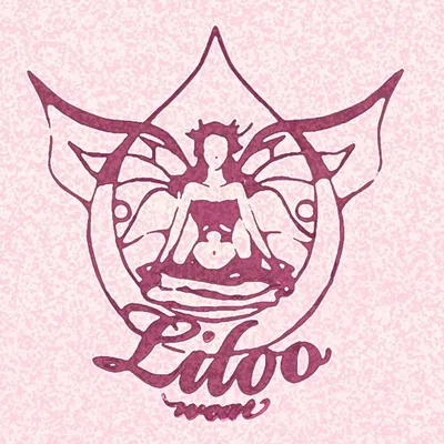 liloowear.com's icon