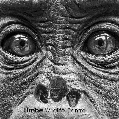 limbewildlife.org's icon