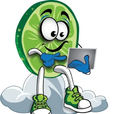 limebookkeeping.com's icon