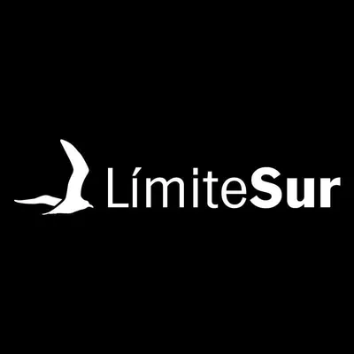 limitesur.com's icon