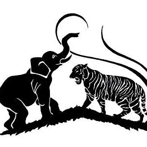 lincolnmyanmar.com's icon