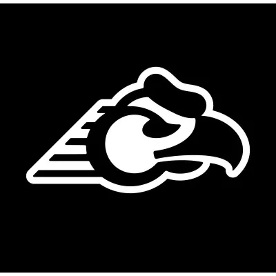 lincoyan.com's icon