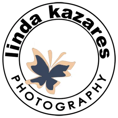 lindakazares.com's icon
