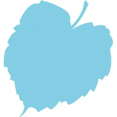 lindenhoflangenthal.ch's icon