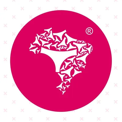 lingeriebratacado.com.br's icon