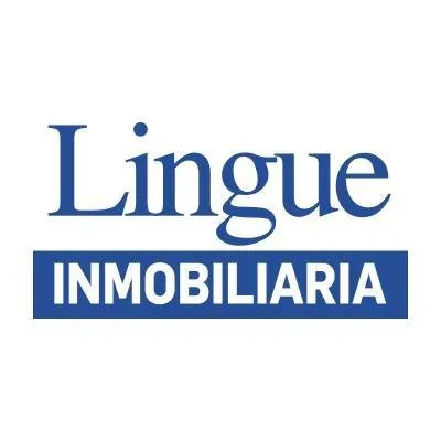 lingue.cl's icon