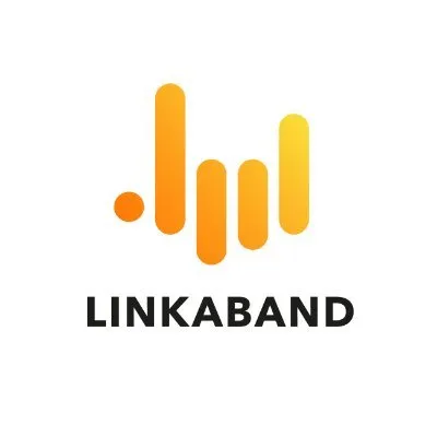 linkaband.com's icon